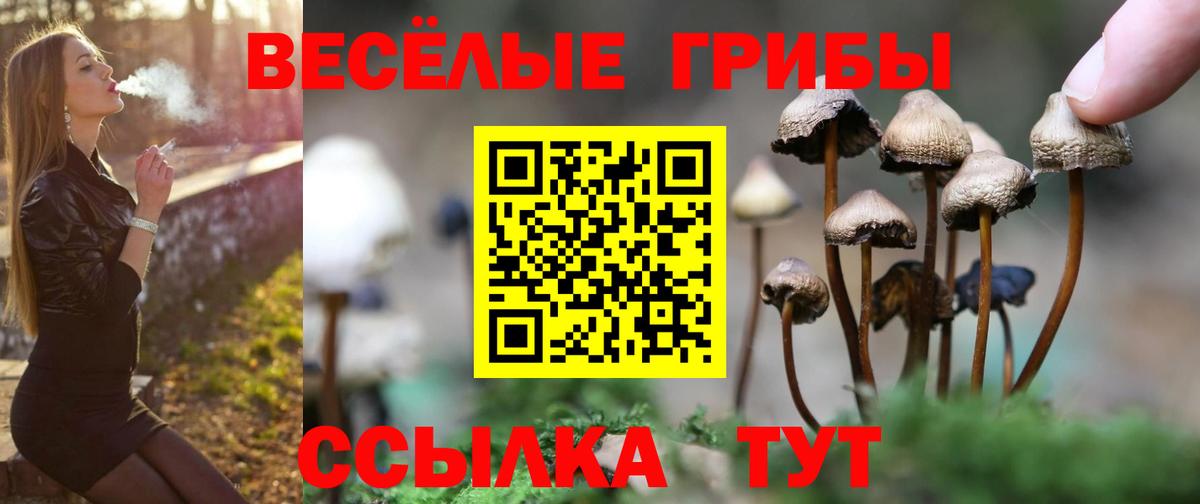 Галлюциногенные грибы ЛСД  Галлюциногенные грибы ЛСД  Вход с VPN  Кинель 