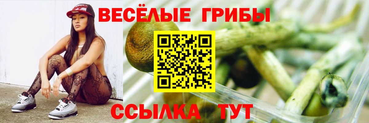 Псилоцибиновые грибы Psilocybine cubensis Кинель